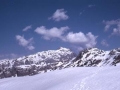 Mendi gailur elurtu bat
