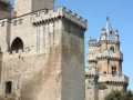 Torre del Aljibe y la Torre de las Tres Coronas del Castillo-Palacio de los Reyes de Navarra