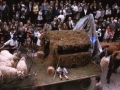 Carroza que representa al pastor con su rebaño de ovejas