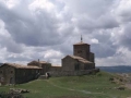 Napari gunearen bista