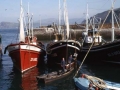 Barcos pesqueros en el puerto