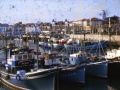 Barcos pesqueros en el puerto