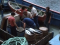 Pescadores trabajando en la cubierta del barco