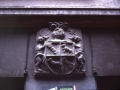 Armarria