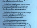 Bernard Etxepare euskal idazlearen ´Linguae Vasconum Primitiae´ idazlanaren, Euskarari eskeiniriko, pasartearen erreprodukzioa