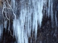 Izotz-kandelak