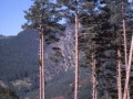 Erronkaribarren ikuspegia
