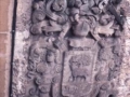 Armarria