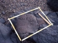 Ammonite fosil erraldoein aztarnategia Mutrikun