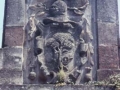 Armarria