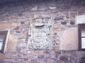 Armarria