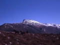 Euskal Herria. Aloña Urrexolako Haitzetatik