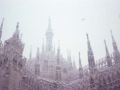 Duomo di Milano izenez ezagutzen den Milaneko katedral gotikoaren pinakuluak