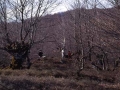 Dolmen de Artaso en la sierra de Artía