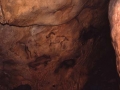 Santimamiñe kobazulo bisonte eta zaldien labar-pinturak