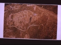 Reproducción de una pintura rupestre de un bisonte en la cueva de Altxerri, en Aia