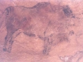 Bisonte baten labar-pintura, Altamira kobazuloan