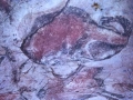 Goi-paleolito garaiko bisonte baten labar-pintura Altamira kobazuloan