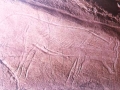Pintura rupestre de un zorro, grabado en el interior de un reno, en la cueva de Altxerri de Aia