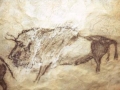 Santimamiñe kobazuloko bisonte baten labar-pintura
