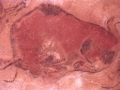 Etzanda dagoen bisonte baten labar-pintura, Goi-paleolito garaikoa, Altamira kobazuloan