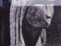 Brassempouy-ko Venusaren erreprodukzioa, Goi-Paleolitoko marfilezko emakume-estatuatxoaren zatia