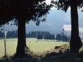 Barazar (Bizkaia)