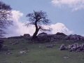 Paisaia naturala