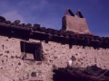 Tximinia