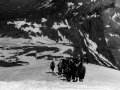 Mendizale taldea Monte Perdido mendira igoeran