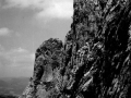 Mendi-tontor harritsuak