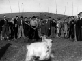 Juan San Martin y José Laskurain junto a otros participantes de la Fiesta del Árbol plantando árboles