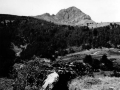 Arrako (Belagua). Trikuharriaren atzean Lakartxelako gailurra