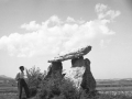 "Arrizala. Dolmen"