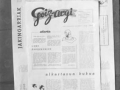 ´Goiz-Argi´ aldizkariaren azalaren erreprodukzioa