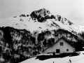 Lakartxela elurtua, Juan Pitotik ikusita