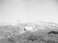 Larra
