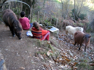 Disfrutando de la naturaleza