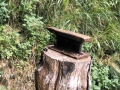 Ikuztegia