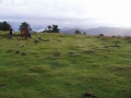 Eteneta II (Etenetako Bizkarra) (Arg: 2)