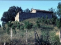 San Vicente de Arenaza (y cementerio)