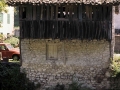 Borda