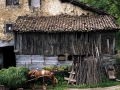 Urdangarin