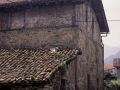 Estrada Berri