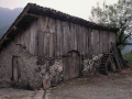 Bezama (Bedama / Beama)