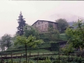 Larruntza (Larraza)