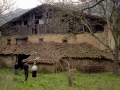 Larruntza (Larraza)