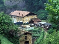 Erroiondo Berri