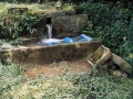 Montsueta Zukia (Lauzti Iturrieta)