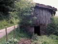 Borda